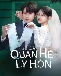 Chỉ Là Quan Hệ Ly Hôn