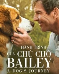 Hành Trình Của Chú Chó Bailey