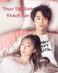 Thực Tập Sinh Khách Sạn