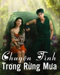 Chuyện Tình Trong Rừng Mưa